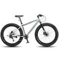 Велосипед TIMETRY 24" TT280 серебряный (2024), Размер рамы (дюймы): 11