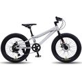 Велосипед TIMETRY 24" TT104 серый (2024), Размер рамы (дюймы): 13