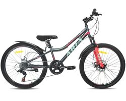 Велосипед ARIA 24" MS241DW MD серый (2024), Размер рамы (дюймы): 12
